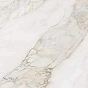 Calacatta Antico Polished 120x120