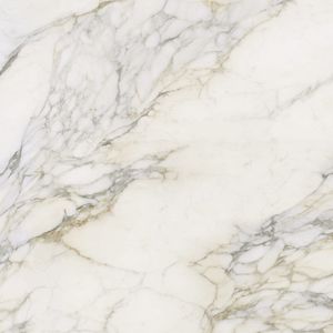 Calacatta Antico Polished 120x120