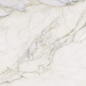 Calacatta Antico Nature 120x120