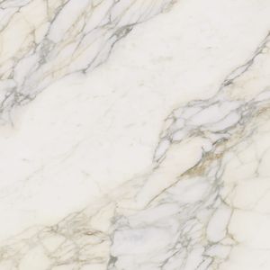 Calacatta Antico Nature 120x120