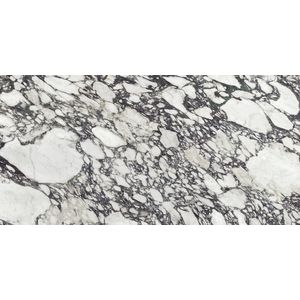 Calacatta Viola Polished 160x320