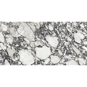 Calacatta Viola Polished 160x320