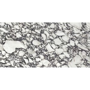 Calacatta Viola Polished 160x320