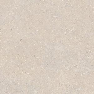 Coral Caliza L 59,6x59,6
