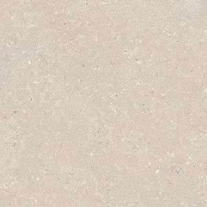 Coral Caliza L 59,6x59,6