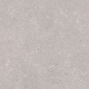 Coral Acero L 59,6x59,6