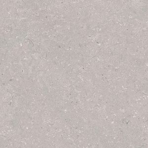 Coral Acero L 59,6x59,6