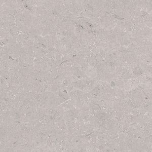 Coral Acero Ant. L 59,6x59,6