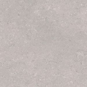 Coral Acero Ant. L 59,6x59,6
