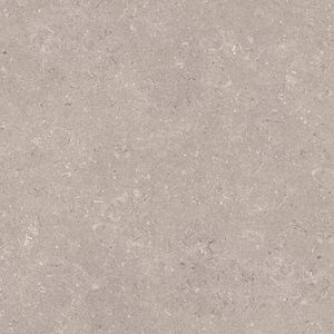 Coral Topo Ant. L 59,6x59,6