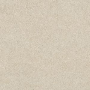 Tourmalet Caliza Texture Ant. L 120x120