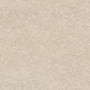 Tourmalet Caliza Texture Ant. L9 59,6x59,6