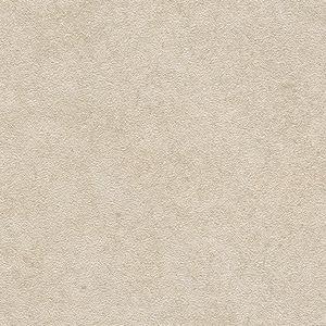 Tourmalet Caliza Texture Ant. L9 59,6x59,6