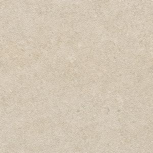 Tourmalet Caliza Texture Ant. L9 59,6x59,6