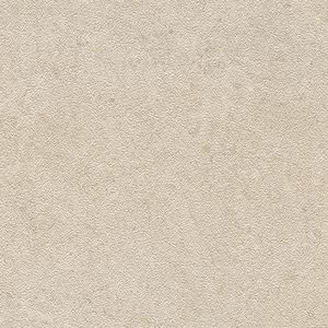 Tourmalet Caliza Texture Ant. L9 59,6x59,6