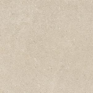 Tourmalet Caliza Texture Ant. L9 59,6x59,6